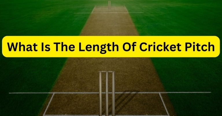 What Is The Length Of Cricket Pitch