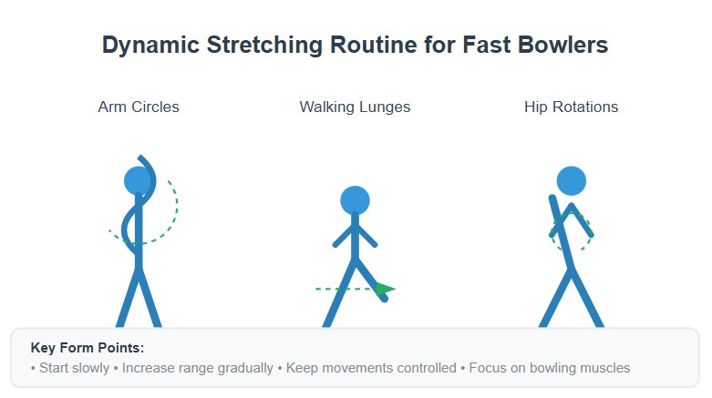 Dynamic Stretching